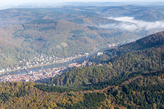 Photographie aérienne de Vallée du Neckar à le quartier Kernaltstadt in Heidelberg dans le département Bade-Wurtemberg, Allemagne