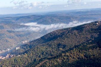 Vue oblique de Vallée du Neckar à le quartier Kernaltstadt in Heidelberg dans le département Bade-Wurtemberg, Allemagne