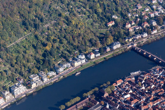 Vue aérienne de Vieux Pont, Neuenheimer Landstr à le quartier Neuenheim in Heidelberg dans le département Bade-Wurtemberg, Allemagne
