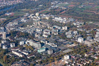 Vue aérienne de Université à le quartier Neuenheim in Heidelberg dans le département Bade-Wurtemberg, Allemagne