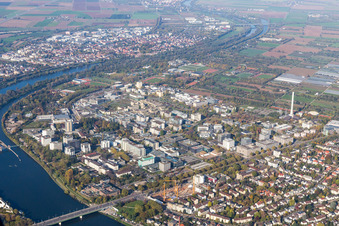 Vue aérienne de Université à le quartier Neuenheim in Heidelberg dans le département Bade-Wurtemberg, Allemagne
