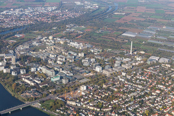 Photographie aérienne de Université à le quartier Neuenheim in Heidelberg dans le département Bade-Wurtemberg, Allemagne