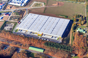 Vue aérienne de Zone industrielle de Waldstückerring avec hall logistique pour Continental Reifen GmbH et FIEGE Logistik de l'est à Bellheim dans le département Rhénanie-Palatinat, Allemagne