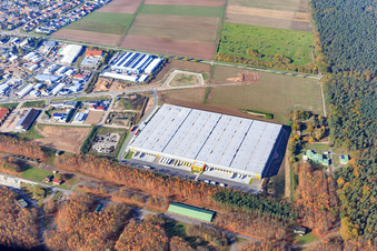 Vue aérienne de Zone industrielle de Waldstückerring avec hall logistique pour Continental Reifen GmbH et FIEGE Logistik de l'est à Bellheim dans le département Rhénanie-Palatinat, Allemagne