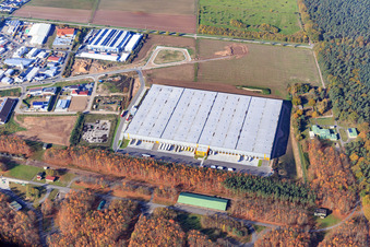 Photographie aérienne de Zone industrielle de Waldstückerring avec hall logistique pour Continental Reifen GmbH et FIEGE Logistik de l'est à Bellheim dans le département Rhénanie-Palatinat, Allemagne