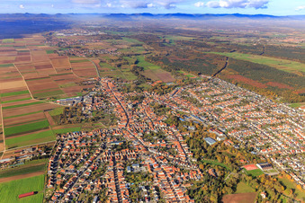 Vue aérienne de Vue d'ensemble de la ville de l'est jusqu'au Queichwiesen à Bellheim dans le département Rhénanie-Palatinat, Allemagne