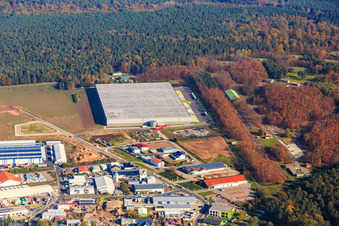 Vue aérienne de Zone industrielle de Waldstückerring avec hall logistique pour Continental Reifen GmbH et FIEGE Logistik du sud-ouest à Bellheim dans le département Rhénanie-Palatinat, Allemagne