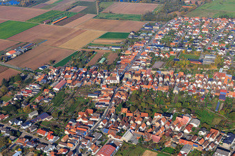 Vue aérienne de Route forestière venant du sud à Ottersheim bei Landau dans le département Rhénanie-Palatinat, Allemagne