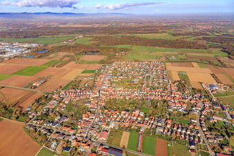 Vue aérienne de Vue d'ensemble du village jusqu'au Queichwiesen depuis le sud à Ottersheim bei Landau dans le département Rhénanie-Palatinat, Allemagne