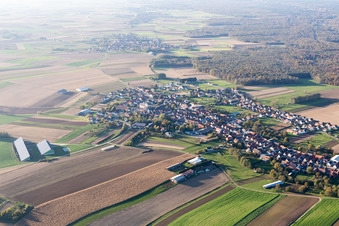 Image drone de Niederlauterbach dans le département Bas Rhin, France