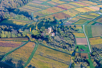 Vue aérienne de Bâtiments et parcs du manoir du Château Saint Paul sur le Sonnenberg à Wissembourg dans le département Bas Rhin, France