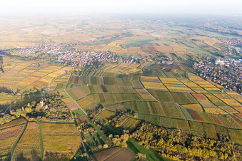Photographie aérienne de Sonnenberg à le quartier Schweigen in Schweigen-Rechtenbach dans le département Rhénanie-Palatinat, Allemagne