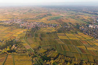 Vue aérienne de Vignobles de Sonnenberg en Schweigen à le quartier Schweigen in Schweigen-Rechtenbach dans le département Rhénanie-Palatinat, Allemagne