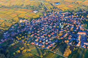 Vue aérienne de Village viticole de l'ouest entre les vignes aux couleurs d'automne à le quartier Rechtenbach in Schweigen-Rechtenbach dans le département Rhénanie-Palatinat, Allemagne