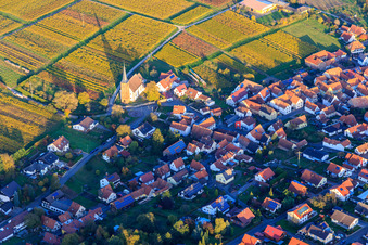 Vue aérienne de Village viticole de l'ouest, manifestant. Église au milieu des vignes aux couleurs automnales. à le quartier Rechtenbach in Schweigen-Rechtenbach dans le département Rhénanie-Palatinat, Allemagne