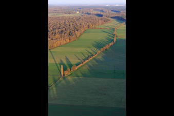 Vue aérienne de Plaines de Bruchbach / Otterbach vues de l'ouest à Freckenfeld dans le département Rhénanie-Palatinat, Allemagne