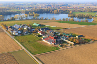 Vue aérienne de Réinstallation de Burgerhof à Neupotz dans le département Rhénanie-Palatinat, Allemagne