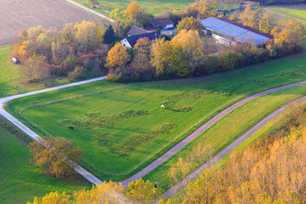 Vue aérienne de Seehof - L'agriculture derrière le barrage du Rhin à Leimersheim dans le département Rhénanie-Palatinat, Allemagne
