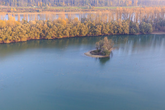 Vue aérienne de Îlot dans le Vieux Rhin à Leimersheim dans le département Rhénanie-Palatinat, Allemagne