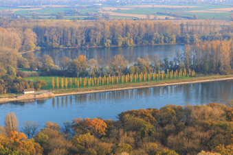 Vue aérienne de Avenue des Peupliers sur le Rhin à Linkenheim-Hochstetten dans le département Bade-Wurtemberg, Allemagne