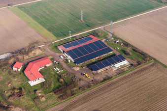 Vue aérienne de Ferme de réinstallation à Erlenbach bei Kandel dans le département Rhénanie-Palatinat, Allemagne