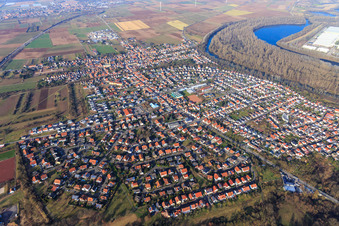 Vue aérienne de Vue de la ville en hiver depuis le sud-ouest à Lingenfeld dans le département Rhénanie-Palatinat, Allemagne