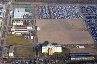 Vue aérienne de Insel Grün avec stockage de véhicules de MOSOLF Logistics & Services GmbH à Germersheim dans le département Rhénanie-Palatinat, Allemagne