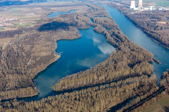 Vue aérienne de Lingenfelder Altrhein à Lingenfeld dans le département Rhénanie-Palatinat, Allemagne