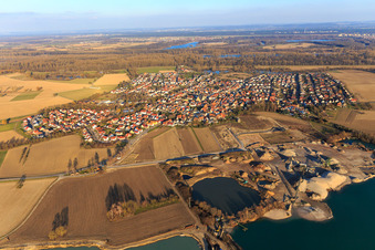 Vue aérienne de Vue des prairies du Rhin en hiver depuis l'ouest à Leimersheim dans le département Rhénanie-Palatinat, Allemagne