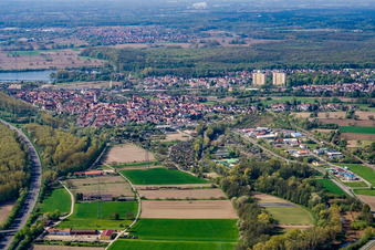 Vue aérienne de Du nord à Wörth am Rhein dans le département Rhénanie-Palatinat, Allemagne