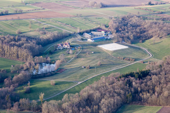 Au Froeschenberg, Haras Lerchenberg à Gundershoffen dans le département Bas Rhin, France hors des airs