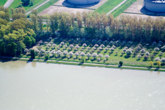 Vue aérienne de Rive du Rhin à le quartier Knielingen in Karlsruhe dans le département Bade-Wurtemberg, Allemagne