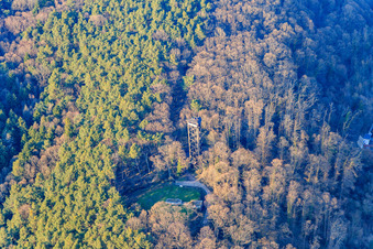 Photographie aérienne de Tour Bismarck à Bad Bergzabern dans le département Rhénanie-Palatinat, Allemagne