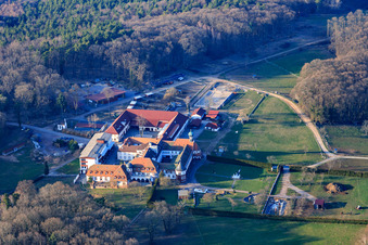 Vue aérienne de Pension pour chevaux au monastère de Liebfrauenberg à Bad Bergzabern dans le département Rhénanie-Palatinat, Allemagne