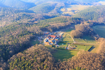 Vue aérienne de Pension pour chevaux au monastère de Liebfrauenberg à Bad Bergzabern dans le département Rhénanie-Palatinat, Allemagne