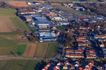 Vue aérienne de Domaine viticole ZGM Zimmermann-Graeff & Müller GmbH & Co à le quartier Pleisweiler in Bad Bergzabern dans le département Rhénanie-Palatinat, Allemagne