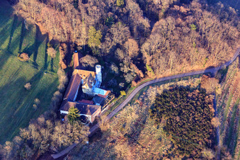 Vue oblique de Slevogthof Neukastel à Leinsweiler dans le département Rhénanie-Palatinat, Allemagne