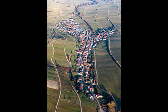 Vue aérienne de Ranschbach dans le département Rhénanie-Palatinat, Allemagne