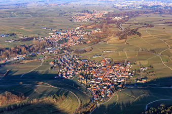 Vue aérienne de Village viticole au pied du Kastanienbusch / Keschdebusch vu de l'ouest à Birkweiler dans le département Rhénanie-Palatinat, Allemagne