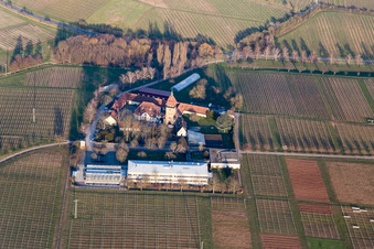 Vue aérienne de Geilweilerhof à Siebeldingen dans le département Rhénanie-Palatinat, Allemagne