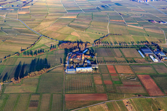 Vue aérienne de Institut JKI de sélection de raisins de Geilweilerhof à Siebeldingen dans le département Rhénanie-Palatinat, Allemagne