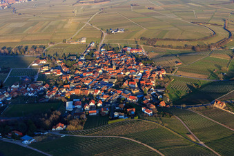 Vue aérienne de Village viticole au pied de la forêt du Palatinat vu de l'ouest à Frankweiler dans le département Rhénanie-Palatinat, Allemagne