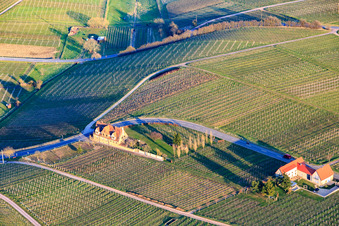 Vue aérienne de Deux maisons à l'extérieur de la ville sur Trifelsstr à Frankweiler dans le département Rhénanie-Palatinat, Allemagne