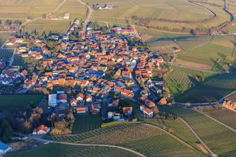 Vue aérienne de Village viticole entre les vignes en hiver vu de l'ouest à Frankweiler dans le département Rhénanie-Palatinat, Allemagne