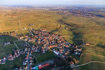 Vue aérienne de Village viticole entre les vignes en hiver vu de l'ouest à Frankweiler dans le département Rhénanie-Palatinat, Allemagne