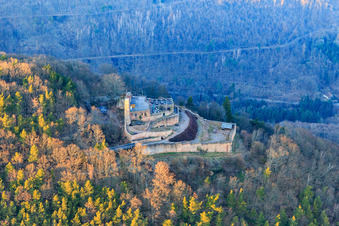 Vue aérienne de Ruines du château de Rietburg vues du sud en hiver à Rhodt unter Rietburg dans le département Rhénanie-Palatinat, Allemagne