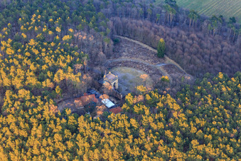 Vue aérienne de Monument de la Victoire et de la Paix en hiver à Edenkoben dans le département Rhénanie-Palatinat, Allemagne