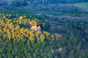 Vue aérienne de Chapelle de la Protection de Marie sur le Wetterkreuzberg à Maikammer dans le département Rhénanie-Palatinat, Allemagne