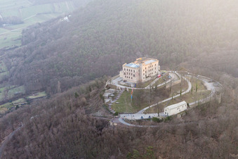Photographie aérienne de Quartier Diedesfeld in Neustadt an der Weinstraße dans le département Rhénanie-Palatinat, Allemagne