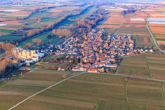 Photographie aérienne de Vue du village depuis l'ouest à Freimersheim dans le département Rhénanie-Palatinat, Allemagne